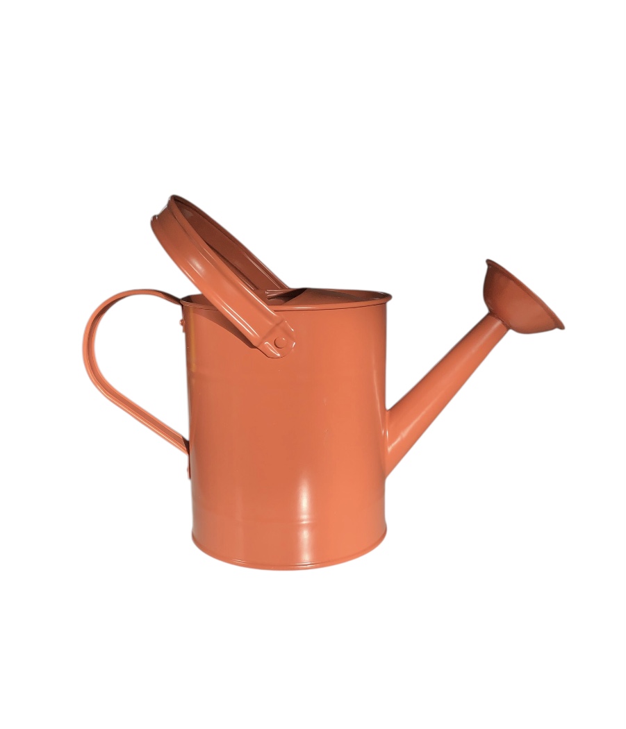 Outdoor Watering Can #2