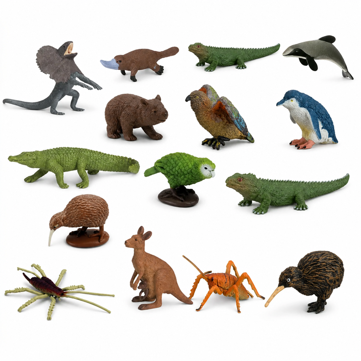 NZ and Australasian Animals