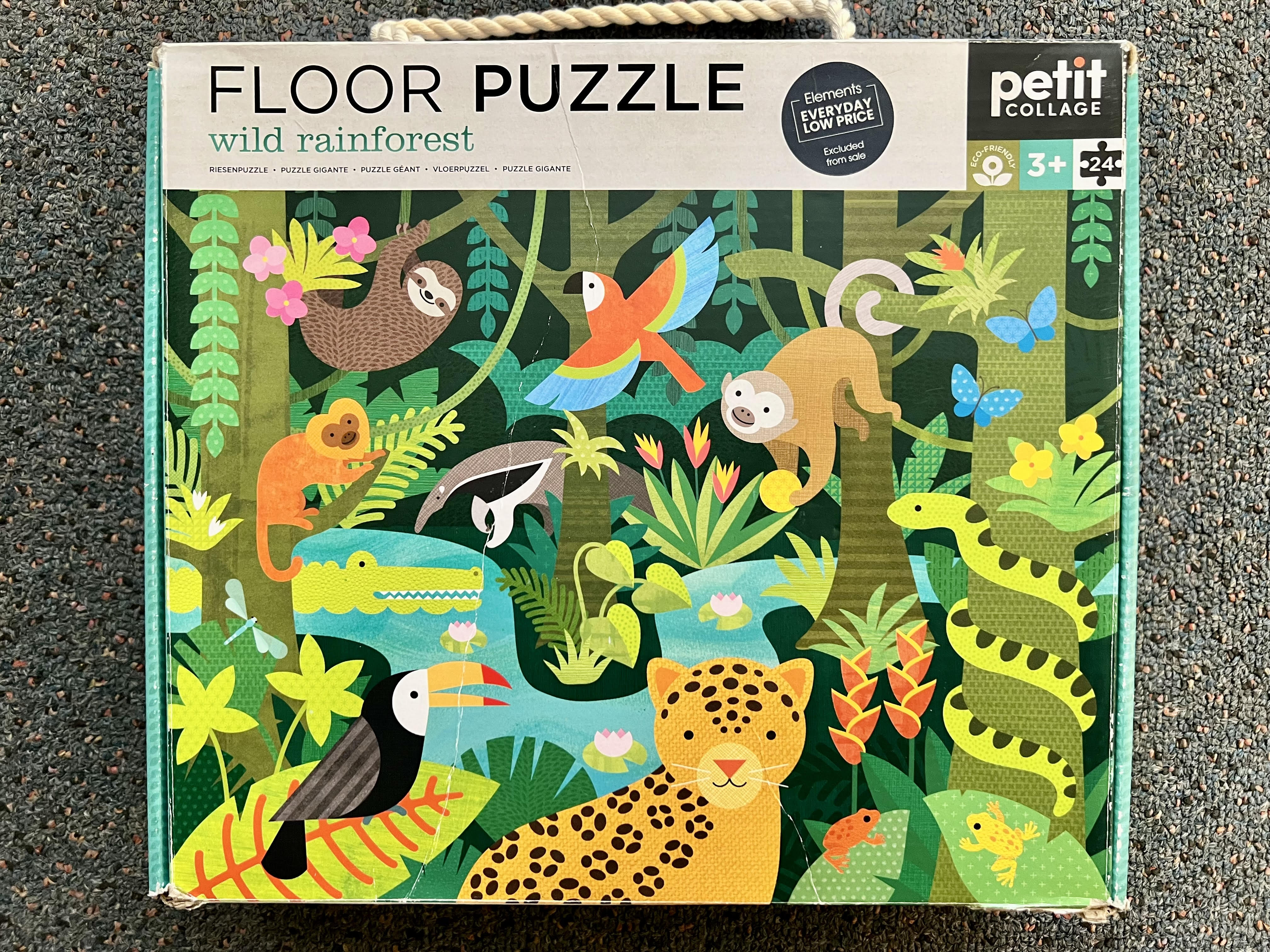 Wild rainforest floor puzzle